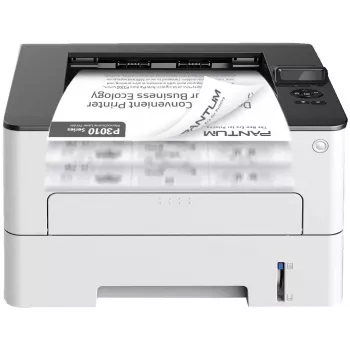 Laser printer PANTUM P3010DW — A4, 1200×1200 DPI, 30 ppm, duplex, Wi‑Fi
