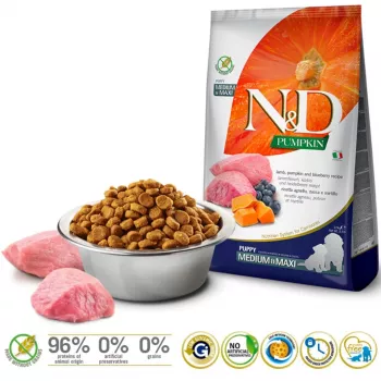 Aliment pour animaux Farmina LAMB & BLUEBERRY PUPPY MEDIUM & MAXI