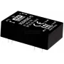 MEAN WELL RDDW08G-12 Alimentation et convertisseur de tension