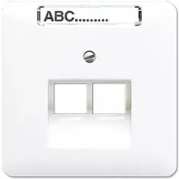 Jung CD 569-2 NAUA WW Cover for Two IAE/UAE Sockets, White