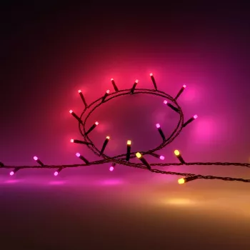 Philips Hue White and colour ambience smart lighting Smart string light Bluetooth/Zigbee 28 W