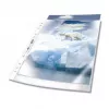 Pochettes perforées Durable 2677-19