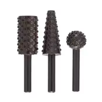 Bosch Accessories 2609255302 Rasp Cutter