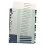 Registre numérique Leitz Index PC Printable 1-20 Style PP A4+, polypropylène (PP), multicolore, portrait, A4 Maxi, 245 mm