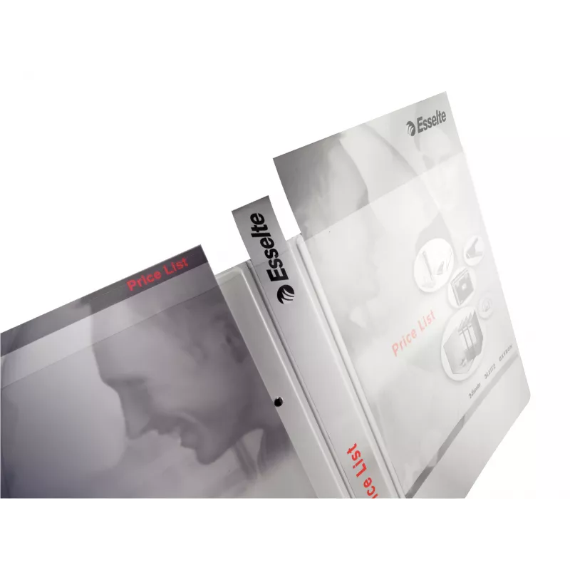 Classeur Leitz 42850001 A4 blanc