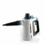 Nettoyeur vapeur portable Ariete 4137/00 0,25 L 1050 W blanc, bleu clair