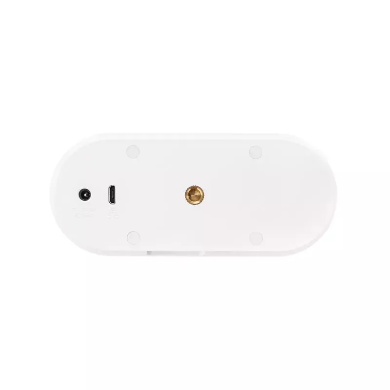 Caméra de surveillance IP ABUS PPIC31020