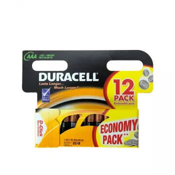 Duracell Pile domestique Pile à usage unique AAA Alcaline