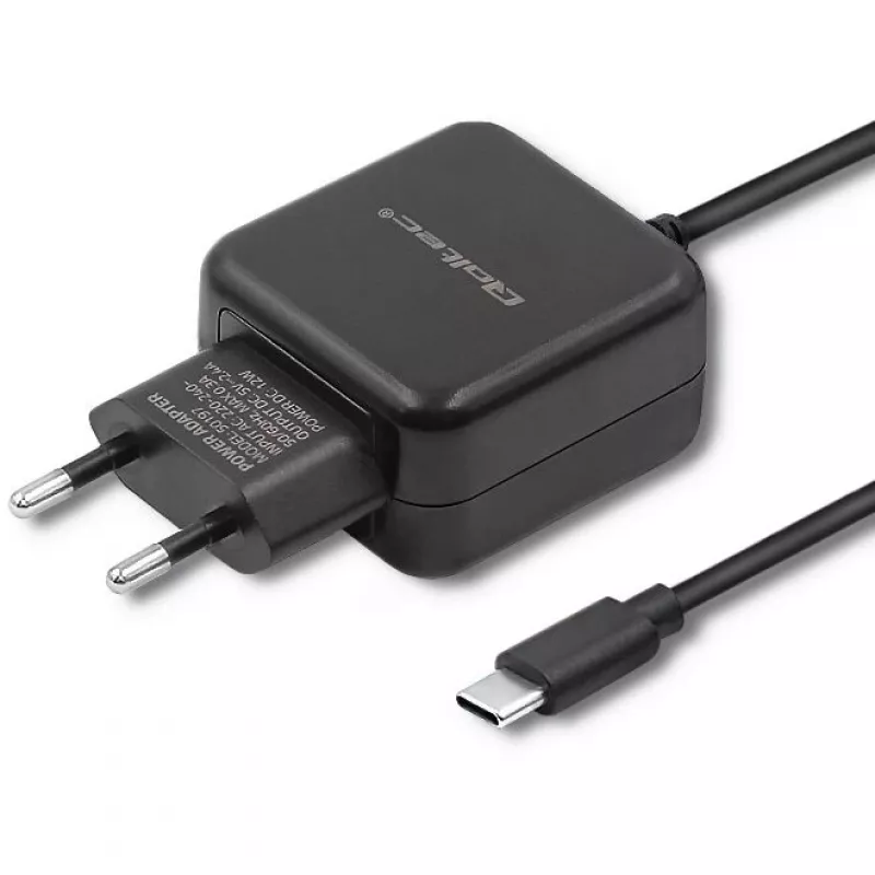 Chargeur intérieur Qoltec 50197