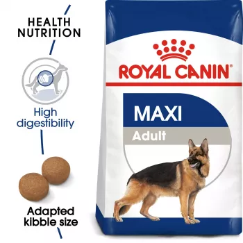 Royal Canin SHN Maxi Adult croquettes pour chien, 4 kg