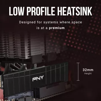 Module de mémoire de bureau PNY 16 Go DDR4 3200 MHz Low Profile