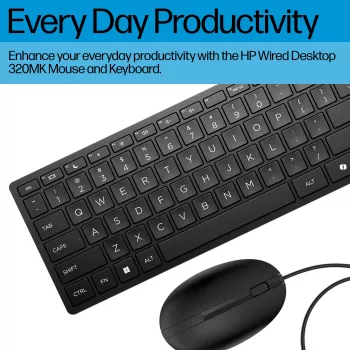 Ensemble clavier et souris HP Wired Desktop 320MK - noir