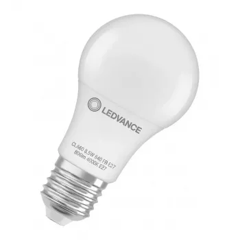 Ampoule LED LEDVANCE LEDV 8,5 W équivalent 60 W 806 lm E27 blanc froid 4000 K mate 200° 15000 h F