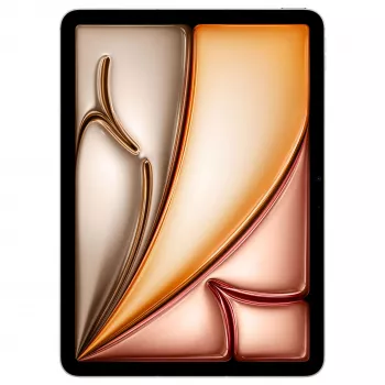 Apple iPad Air 11 pouces Wi-Fi + Cellular 1 To gris sidéral 6e génération