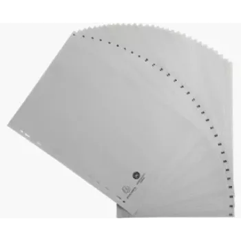 Intercalaires Exacompta 1931E 1-31, A4, polypropylène, gris