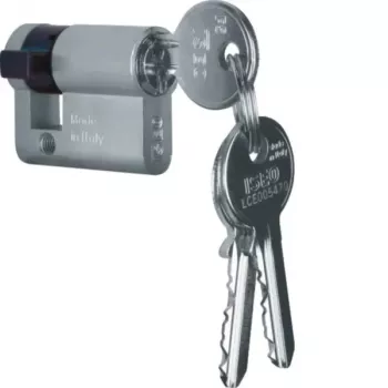 Demi-cylindre profilé Hager WDA7172 accessoire, 30/10 mm, laiton nickelé, 2 clés
