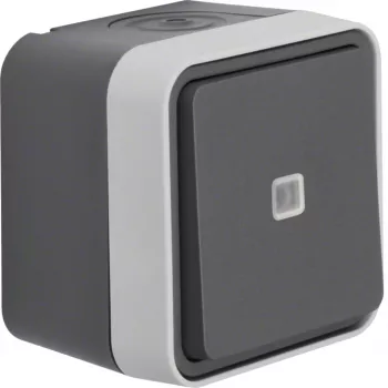 Hager WNC021 bouton-poussoir lumineux, inverseur, en saillie, gris, IP44