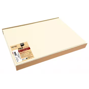 Set de table jetable PROnappe Spunbond 400 x 300 mm ivoire PP
