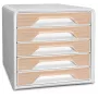 Boîte à tiroirs CEP Office Solution Smoove Silva 5 tiroirs blanc/hêtre polystyrène breveté