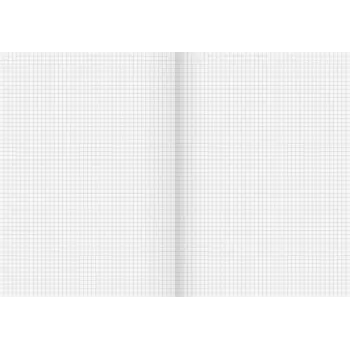 Cahier scolaire recyclé BRUNNEN Lineatur 22, quadrillé sans marge, A4