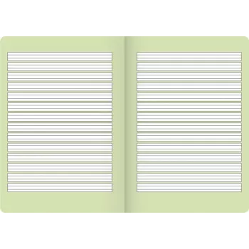 BRUNNEN cahier scolaire A5 Vivendi ligné 2 16 feuilles - A5