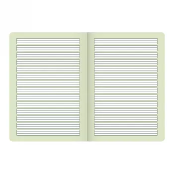 BRUNNEN Vivendi cahier scolaire A4 Lineatur 1 ligné avec marge tout autour, 16 feuilles, 1re classe