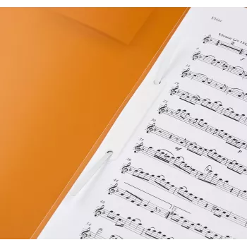 Chemise à sangle BRUNNEN FACT! A4 PP orange 150 feuilles à griffes métalliques
