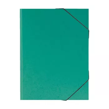 Porte-dessins Brunnen FACT!plus DIN A3 vert