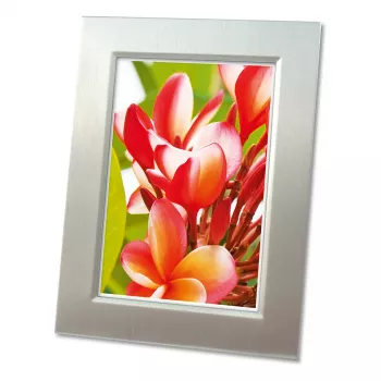 Papier photo brillant premium Avery Zweckform 2556-20, A4, 250 g/m², 20 feuilles