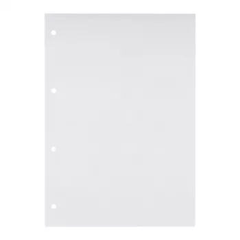 Bloc scolaire Oxford Recycling DIN A4 50 feuilles réglure 20 collé en tête vierge 4 trous perforé - A4