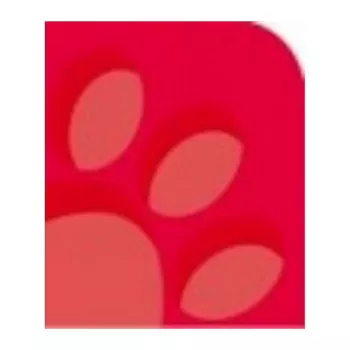 Carnet Oxford 100050402 A4 90 g/m² rouge