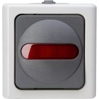Heinrich Kopp 561656007 interrupteur à bouton, gris/blanc, thermoplastique, IP44, 10A, 250V