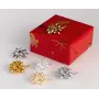 C.E. Pattberg nœuds cadeau mat/brillant multicolores 20 pièces