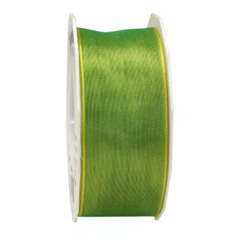 C.E. PATTBERG Four Seasons satin mat ruban cadeau lime 40 mm x 25 m