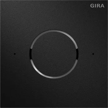 Module de parole Gira 5592925 IP System 106 noir mat