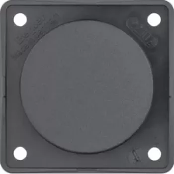 Berker plaque d'obturation anthracite avec plaque de support 945162505