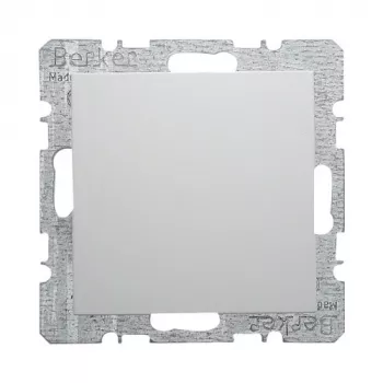 Berker 6710098989 cache aveugle avec plaque centrale, blanc polaire brillant