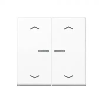 JUNG Home Bouton-poussoir 2 postes Bluetooth AS 17102 P WW