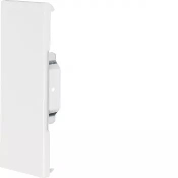 HAGER Pièce de finition de recouvrement BRS6517069016 tôle d'acier 68x170mm OT80mm