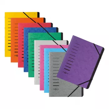Pagna 40059-12 Classeur organisateur 12 compartiments, A4, orange