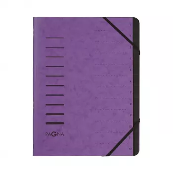 Pagna 40059-10 Classeur organisateur 12 compartiments, A4, aubergine