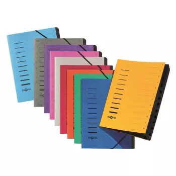Pagna 40059-18 Classeur organisateur 12 compartiments, A4, bleu clair