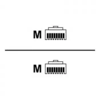 Rittal DK CMC III câble de connexion CAN-Bus - câble réseau - RJ-45 mâle vers RJ-45 mâle - 1,5 m (7030.092)