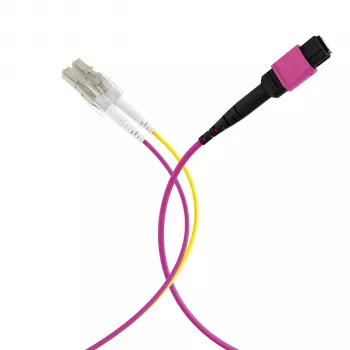 EFB ELEKTRONIK Câble trunk MPO-PLUS(F)-LC OM4 8 fibres type B LSZH violet bruyère 5m