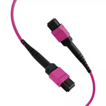 EFB ELEKTRONIK Câble de raccordement MPO-PLUS(F)-MPO-PLUS(F) OM4 12 fibres type B LSZH violet érika 10m