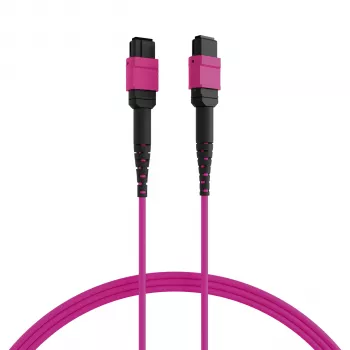 EFB ELEKTRONIK Câble de raccordement MPO-PLUS(F)-MPO-PLUS(F) OM4 12 fibres type B LSZH violet érika 5m