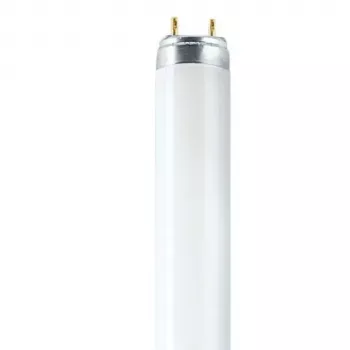 Tube fluorescent OSRAM L T8 36W/840 G13 1200 mm 4000K blanc froid