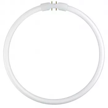 Lampe fluorescente circulaire Osram T5 FC22W 840 2GX13