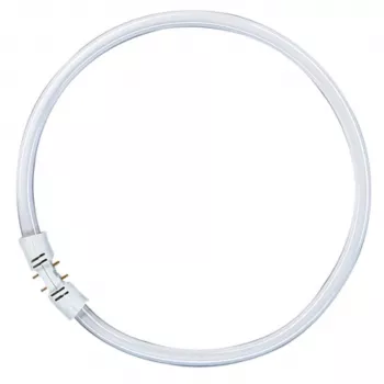 Lampe fluorescente circulaire OSRAM LUMILUX T5 FC 55 W 865 lumière du jour 2GX13