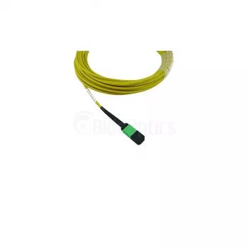 BlueOptics Cisco CB-M12-M12-SMF2M câble de raccordement monomode G.657.A1 MPO-MPO, 2 m